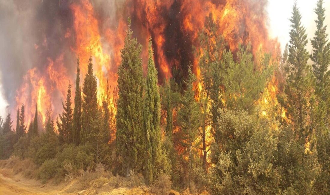 ÇANAKKALE, – ÇANAKKALE Valiliği tarafından kentte artan orman yangınlarına karşı