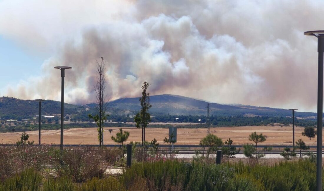 Nazif Cemhan ŞEN – Fuat SERTDEMİR/GELİBOLU (Çanakkale), -ÇANAKKALE’nin Gelibolu ilçesinde