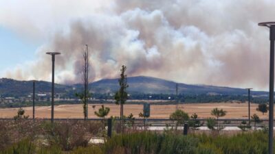 Nazif Cemhan ŞEN-Fuat SERTDEMİR/GELİBOLU, (Çanakkale), -ÇANAKKALE’nin Gelibolu ilçesinde dün tarım