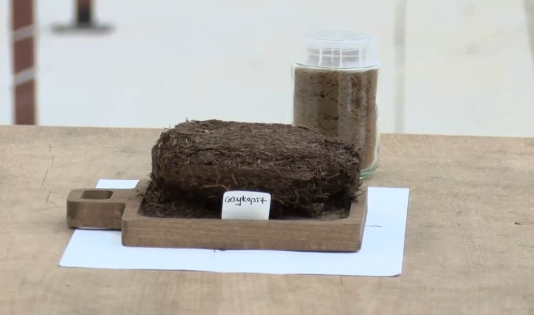 Mehmet Can PEÇE/RİZE, – RİZE’de ÇAYKUR Çay Araştırma Enstitüsü tarafından