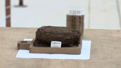 Mehmet Can PEÇE/RİZE, – RİZE’de ÇAYKUR Çay Araştırma Enstitüsü tarafından