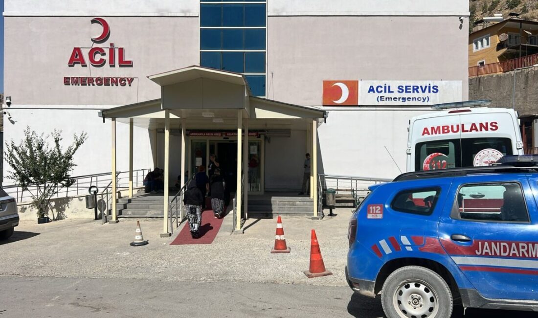 Serdar KARA/ÇUKURCA (Hakkari), – HAKKARİ’nin Çukurca ilçesinde ceviz toplamak için