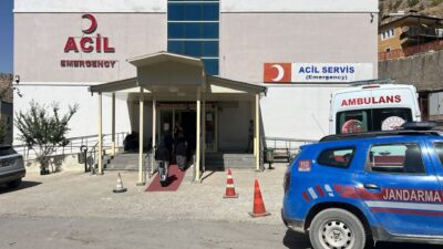 Serdar KARA/ÇUKURCA (Hakkari), – HAKKARİ’nin Çukurca ilçesinde ceviz toplamak için