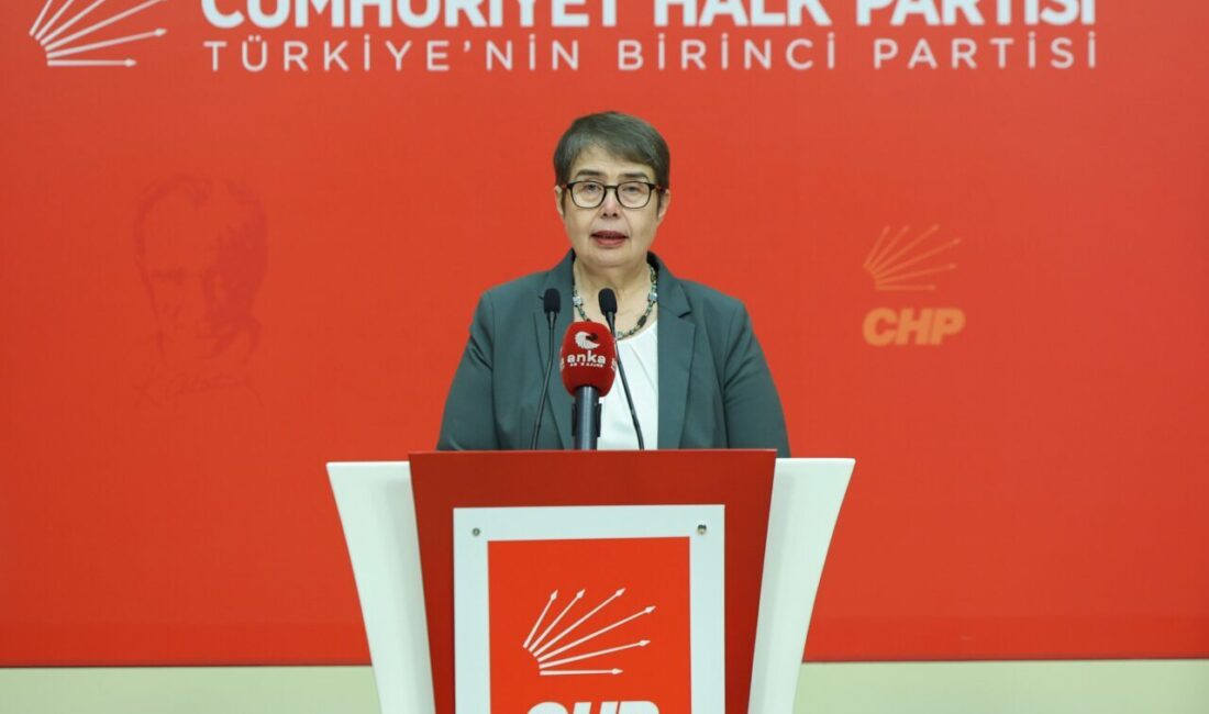 Aybala MELEK/ANKARA, – CHP Genel Başkan Yardımcısı Zeliha Aksaz Şahbaz,