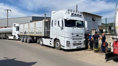 Nabi YAZICI/KÖRFEZ, (Kocaeli), – KOCAELİ’nin Körfez ilçesinde, damperi elektrik tellerine