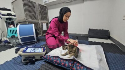 Ali Sencer ARSLAN/ZONGULDAK, – ZONGULDAK’ta, sokakta aldığı darbe nedeniyle omurgasında