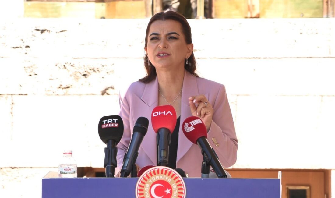 Mikail KARAMAN-Canberk ÖZTÜRK/ANKARA, – DEM Parti Grup Başkanvekili Gülistan Kılıç