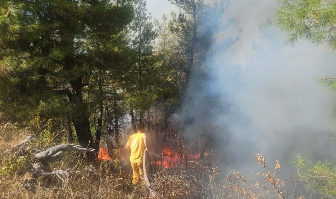 Özcan DURUSOY/BULDAN (Denizli), – DENİZLİ’nin Buldan ilçesinde, orman yangını çıktı.