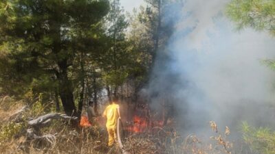 Özcan DURUSOY/BULDAN (Denizli), – DENİZLİ’nin Buldan ilçesinde, orman yangını çıktı.