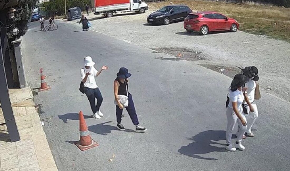 Onur KAYA/ÇERKEZKÖY (Tekirdağ), – TEKİRDAĞ’ın Çerkezköy ilçesinde girdikleri daireden para