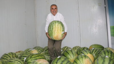 Gıyasettin TETİK- Selim KAYA/DİYARBAKIR, – DİYARBAKIR’da düzenlenecek 15’inci Diyarbakır Karpuzu