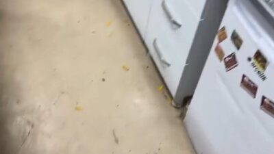 Gıyasettin TETİK-Seyfettin EKEN/DİYARBAKIR, – DİYARBAKIR Gazi Yaşargil Eğitim ve Araştırma