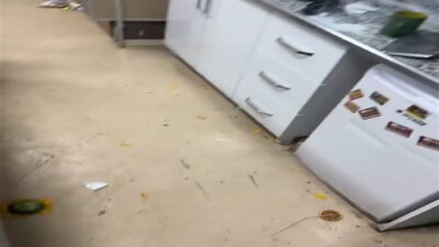 Seyfettin EKEN-Gıyasettin TETİK/DİYARBAKIR, – DİYARBAKIR Gazi Yaşargil Eğitim ve Araştırma