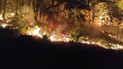 Musa KESKİN/ YIĞILCA (Düzce), – DÜZCE’nin Yığılca ilçesinde çıkan orman