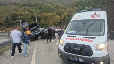 Musa KESKİN/YIĞILCA (Düzce), – DÜZCE’nin Yığılca ilçesinde, yağmur nedeniyle kayganlaşan