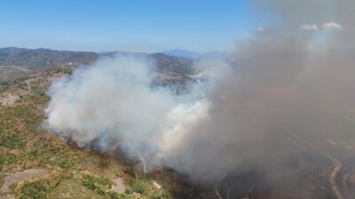 HAVADAN GÖRÜNTÜLENDİ Düzce’de çıkan orman yangınına müdahale sürerken, yanan bölge