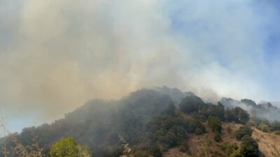 Mutlu YUCA-Zübeyde ÖZMEN/DÜZCE, – DÜZCE’de orman yangını çıktı. Ekipler, havadan