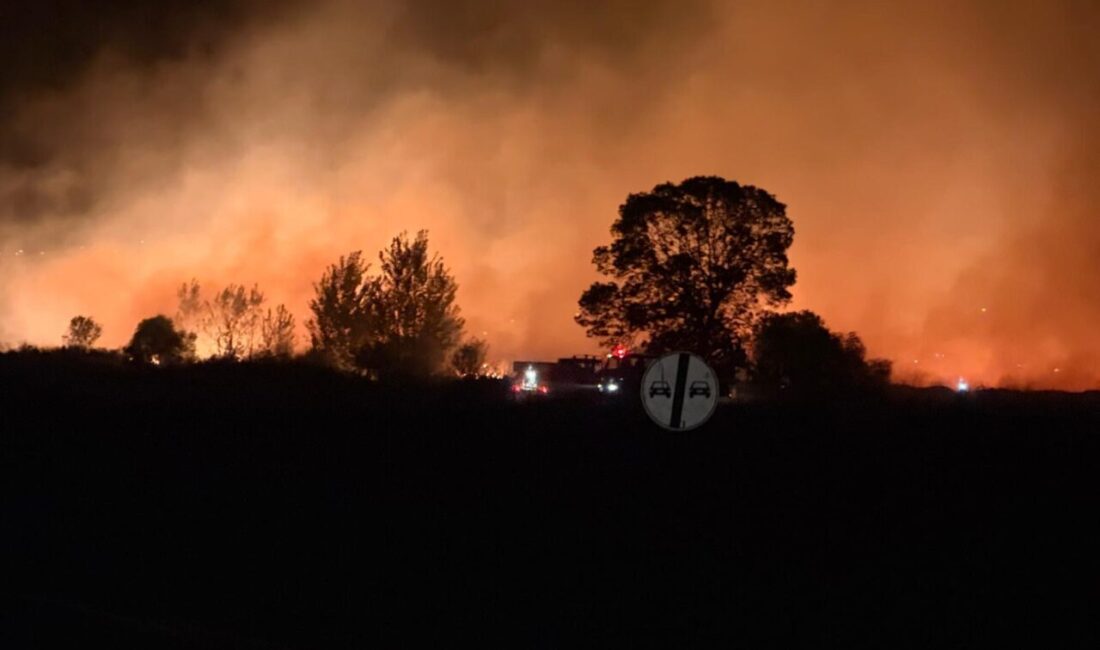 Ünsal YÜCEL/ KEŞAN (Edirne), – EDİRNE’nin Keşan ilçesinde buğday tarlasında