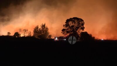 Ünsal YÜCEL/ KEŞAN (Edirne), – EDİRNE’nin Keşan ilçesinde buğday tarlasında