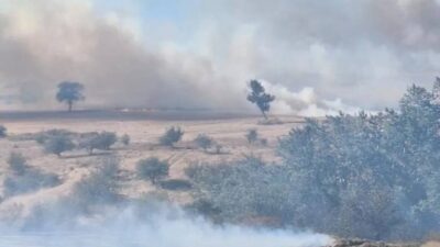 Ünsal YÜCEL/ İPSALA (Edirne), – EDİRNE’nin İpsala ilçesinde buğday tarlasında