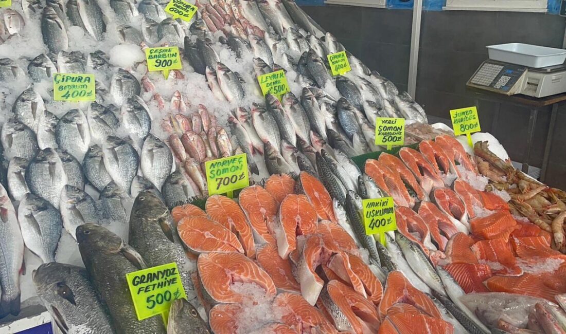 Kadir ÖZEN/İZMİR, -EGELİ balıkçılar, bu yıl bereketli bir sezon geçiriyor.