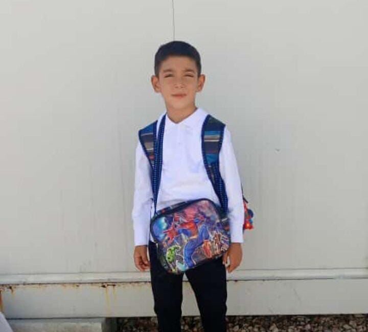 Tekin YALÇINKAYA/ ELAZIĞ, – ELAZIĞ’da yolun karşısına geçmeye çalışırken minibüsün