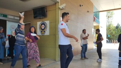 Yavuz YILMAZ/ İNEGÖL (Bursa), – BURSA’nın İnegöl ilçesinde elini salça