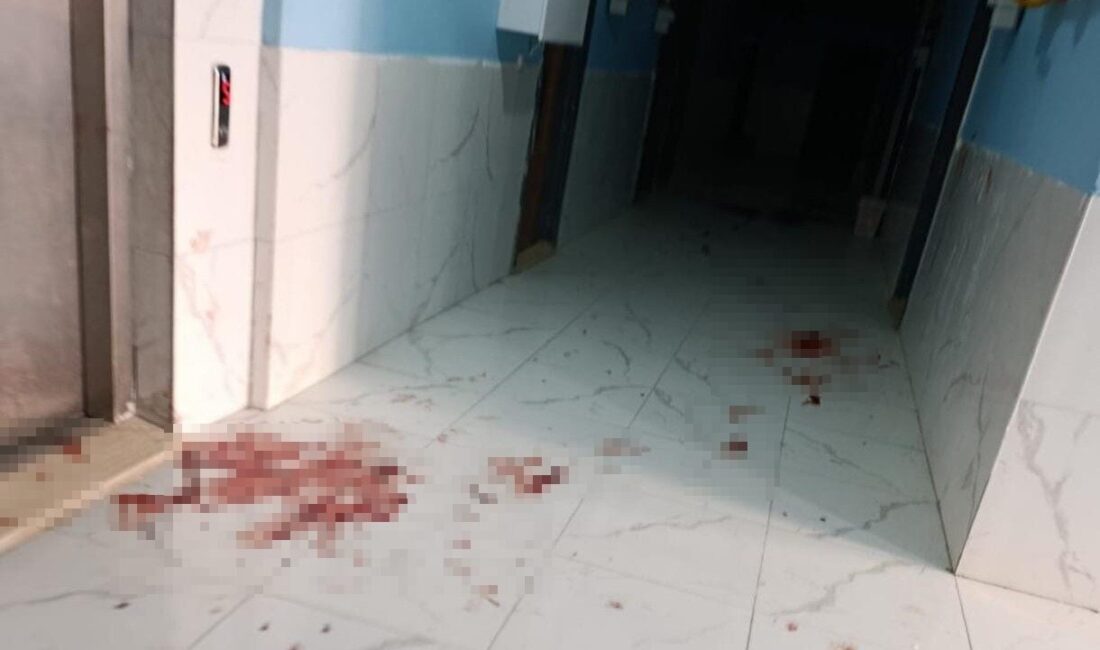 Salih KESKİN/MARDİN, – MARDİN’in Artuklu ilçesinde eşi tarafından bıçaklanan Ceylan