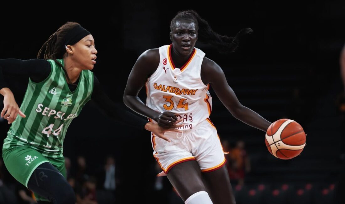 Galatasaray Çağdaş Faktoring – ACS Sepsi-SIC: 86-46 İSTANBUL, – SALON: