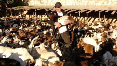 İSTANBUL, – GÖNÜLLÜ Vesileler Derneği, Afrika’nın kıtlık ve kuraklıkla mücadele