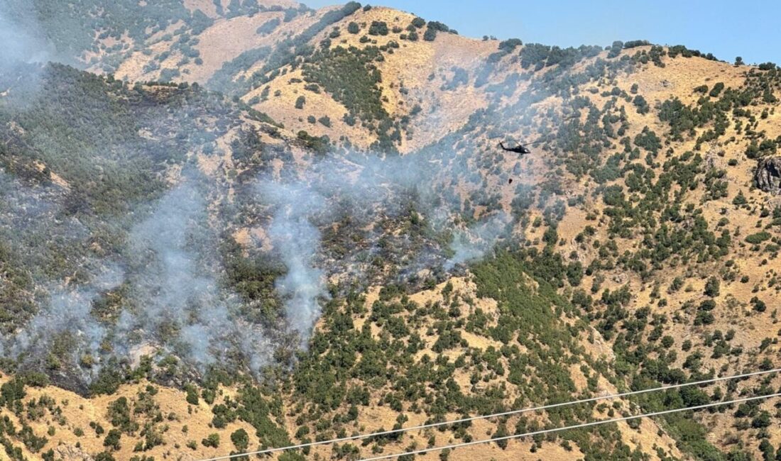 Hakkari’de çıkan orman yangını kontrol altına alındı (2) MİLLETVEKİLİ VE KAYMAKAM YANGIN BÖLGESİNDE DEM Parti Hakkari Milletvekili Onur