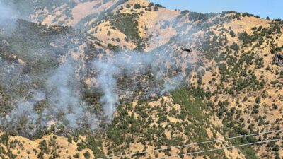 MİLLETVEKİLİ VE KAYMAKAM YANGIN BÖLGESİNDE DEM Parti Hakkari Milletvekili Onur