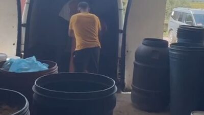 ANKARA, – TARIM ve Orman Bakanlığı, Hatay’ın Antakya ilçesinde gerçekleştirilen