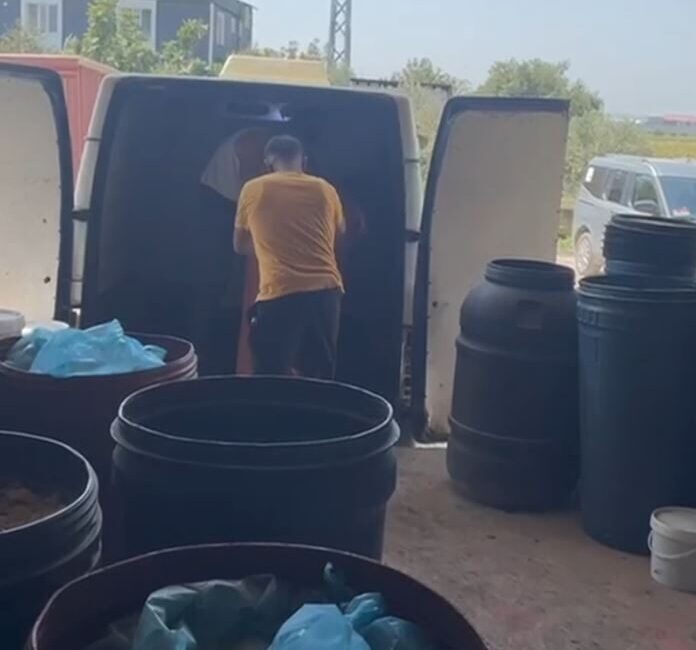 ANKARA, – TARIM ve Orman Bakanlığı, Hatay’ın Antakya ilçesinde gerçekleştirilen