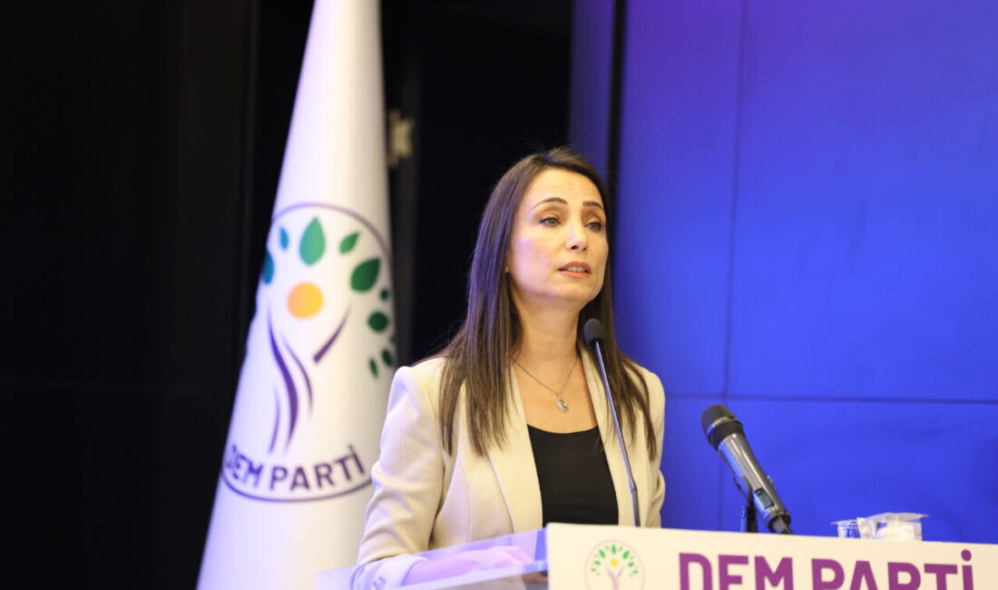 Mikail KARAMAN/ANKARA, – DEM Parti Eş Genel Başkanı Tülay Hatimoğulları,