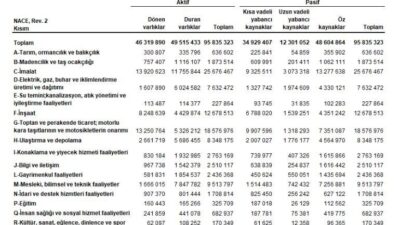 ANKARA, – TÜRKİYE İstatistik Kurumu (TÜİK), 2024 yılında imalat sektörünün