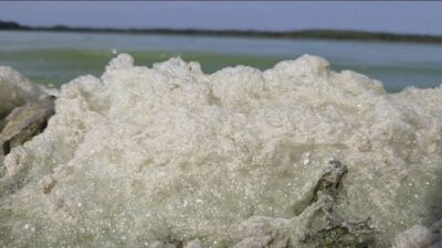 Vehbi DEMİR / İSTANBUL, – İstanbul’un en önemli içme suyu