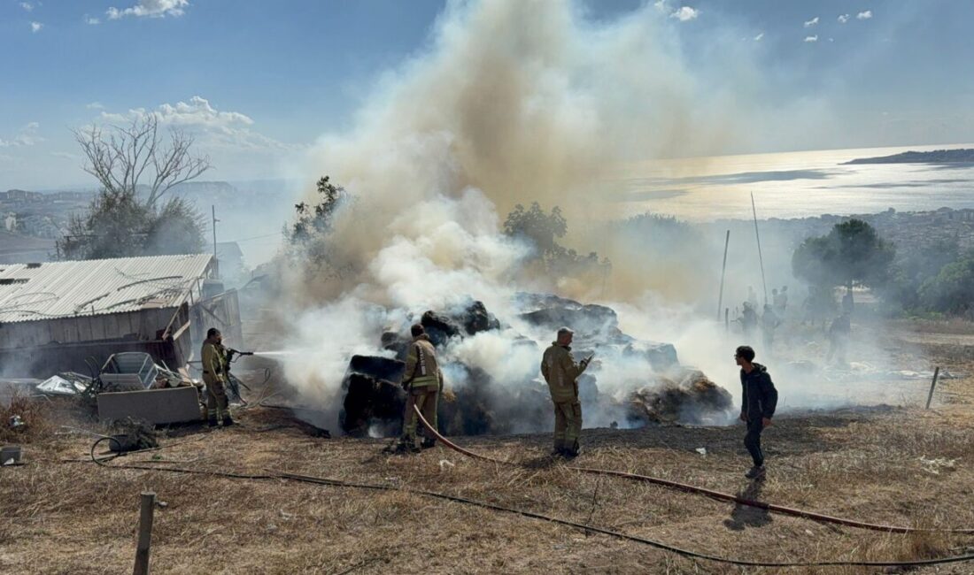 Derya EVREN KORKMAZ-Emir Efe BENLİOĞLU/İSTANBUL, – BÜYÜKÇEKMECE’de bir ahırın yanında