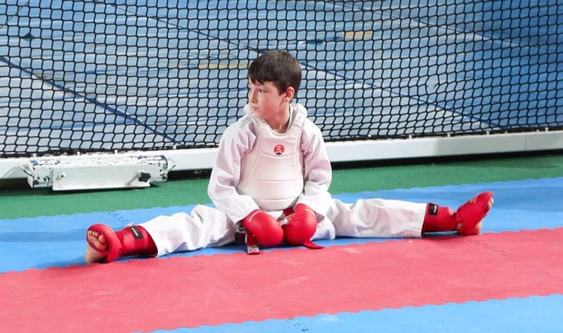 Leyla YILDIZ- Mehmet ALA/ İSTANBUL, – TÜRKİYE Karate Federasyonu tarafından
