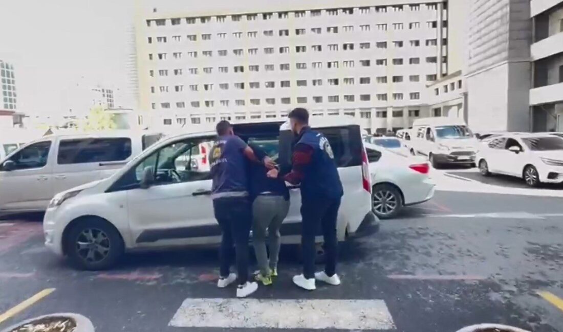 Ceyda BIYIKLIOĞLU – Emre KURT/İSTANBUL, – SOSYAL medyada yayınlanan bir