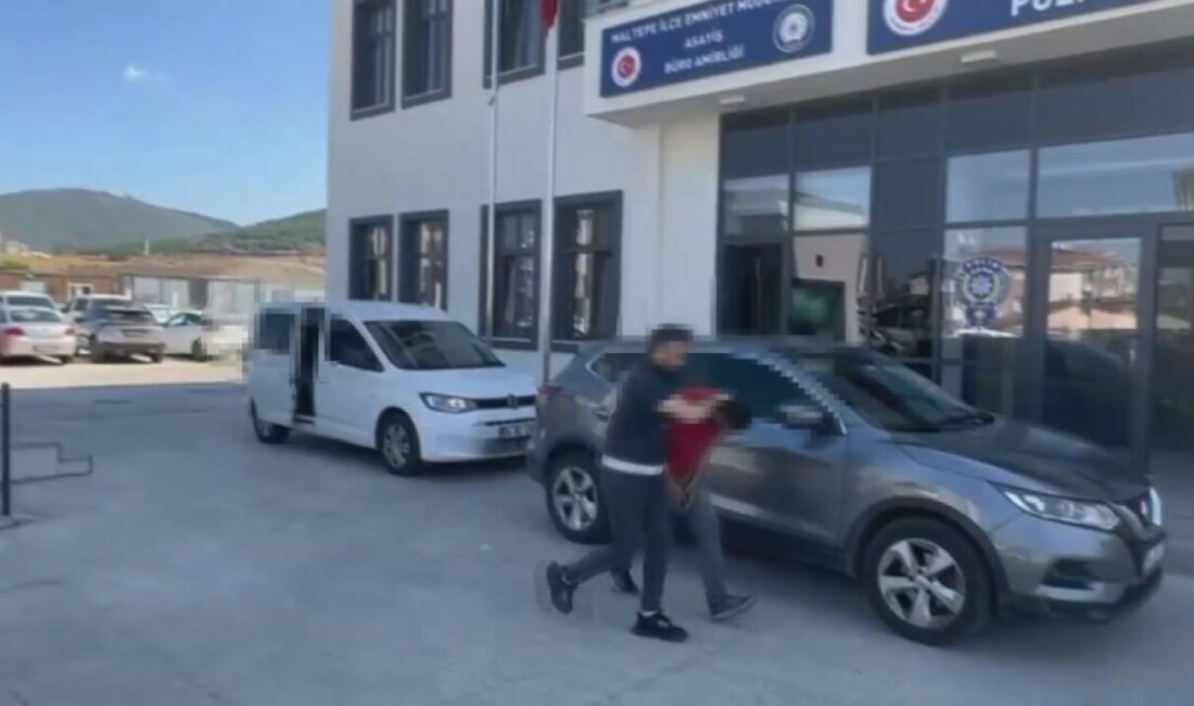 Mert ORDU/İSTANBUL, – MALTEPE’de ormanlık alanda çıkan yangınla ilgili yürütülen