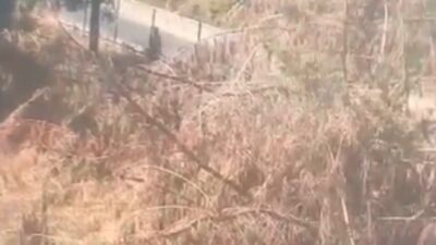 Hasan YILDIRIM – Mehmet Kaan KURT – Doğan Can CESUR/İSTANBUL,