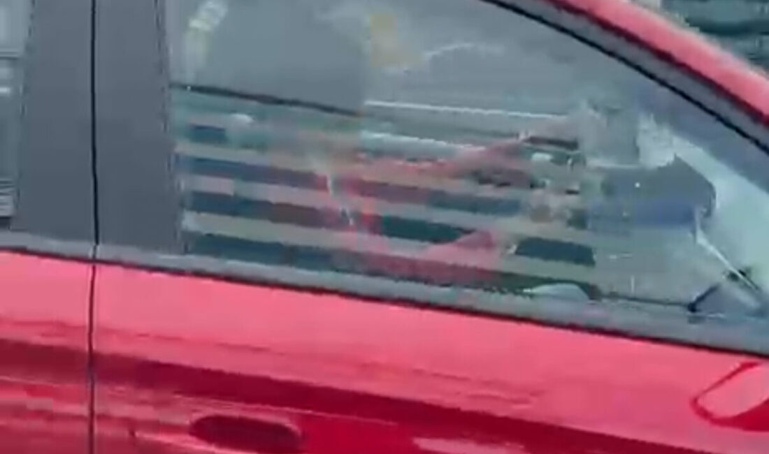 Doğan Can CESUR / İSTANBUL – ŞİŞLİ D-100 Karayolu’nda iddiaya