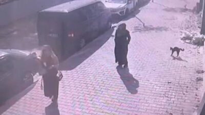 Baran AKKAYA-Emin YEŞİL/İSTANBUL, -SULTANGAZİ’de sokak kedisi, yürüyüş yapan kadın ve