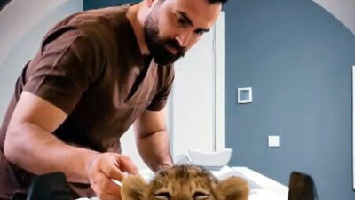 İhsan DÖRTKARDEŞ / İSTANBUL, – Hayvanat bahçeleri ve doğal yaşamda