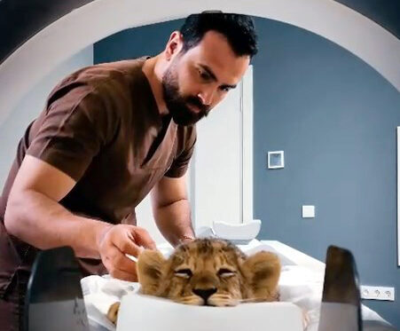 İhsan DÖRTKARDEŞ / İSTANBUL, – Hayvanat bahçeleri ve doğal yaşamda