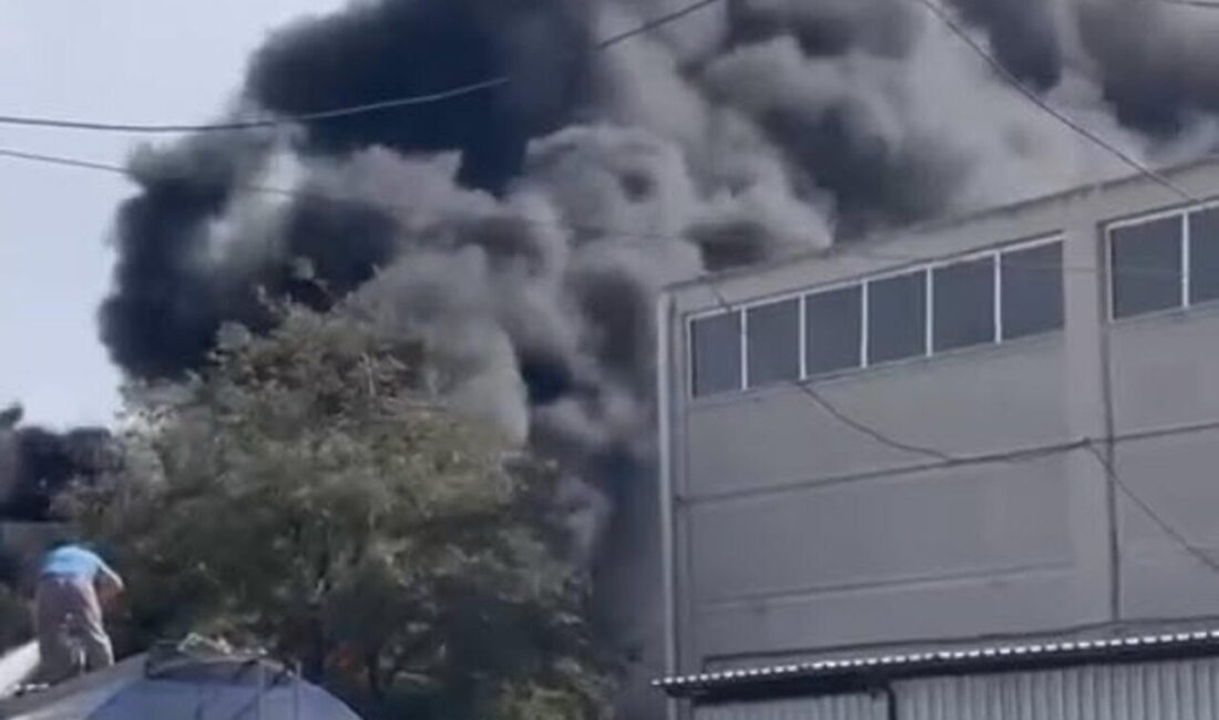 Kadir ÖZEN/İZMİR, – İZMİR’in Aliağa ilçesinde bir lastik deposunda yangın