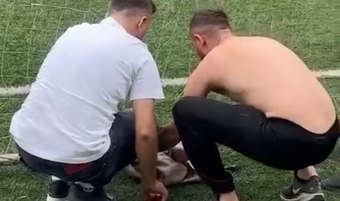 Yiğithan HÜYÜK/BURSA, – BURSA’da halı sahadaki kalenin filelerine takılan kedi,