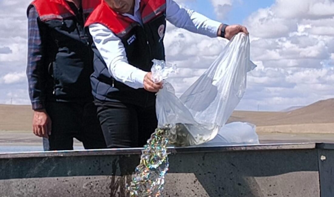 Volkan KARABAĞ/KARS, – TÜRKİYE-Ermenistan sınırındaki Arpaçay Baraj Gölü başta olmak