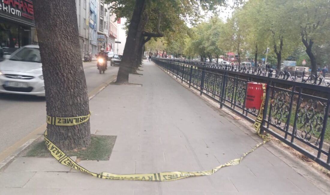 Hamza DEMİRCİ/ KASTAMONU, – KASTAMONU’da otelin 5 kattaki penceresinden düşen